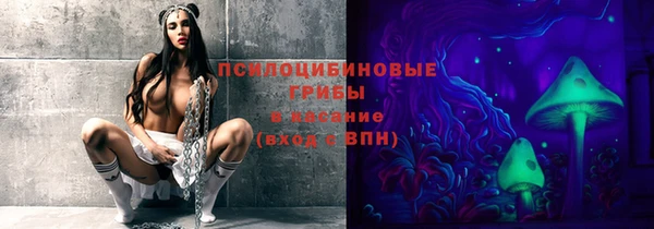 a pvp Абинск