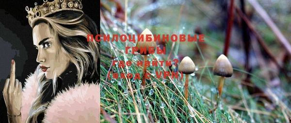 каннабис Магадан
